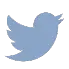 Twitter Icon as blue